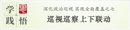 学思践悟：巡视巡察上下联动