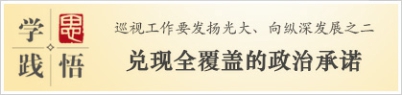 学思践悟：巡视工作要发扬光大、向纵深发展之二